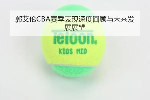 郭艾伦CBA赛季表现深度回顾与未来发展展望